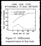 Synopsis